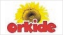 Orkide logo