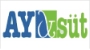 Ays�t logo